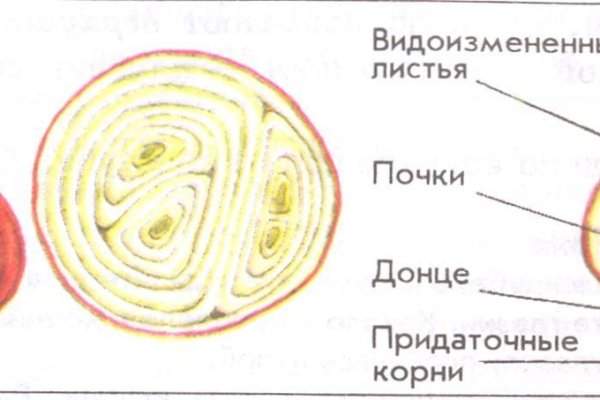 Кракен даркнет зайти