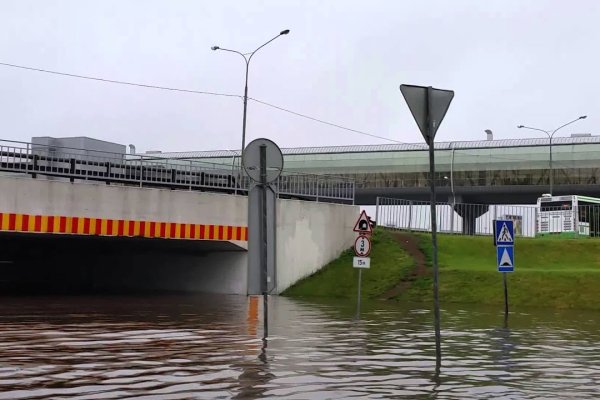 Кракен дарк сайт